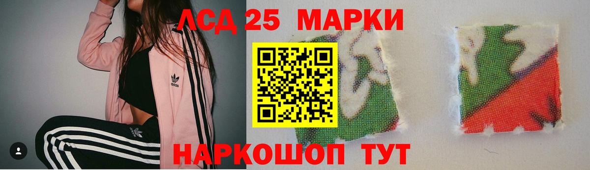 кракен рабочий сайт  ЛСД экстази ecstasy  LSD-25 экстази ecstasy  Вход с VPN  Бийск 