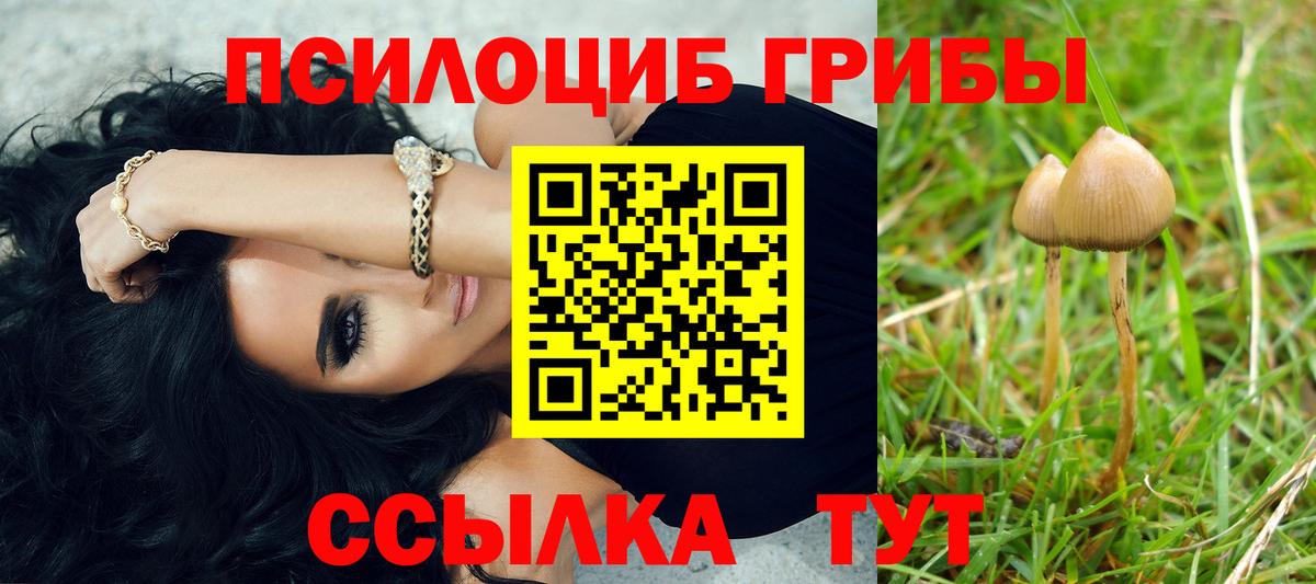 Бийск  Галлюциногенные грибы Magic Shrooms  Псилоцибиновые грибы Psilocybe  купить наркотик  Вход с VPN 