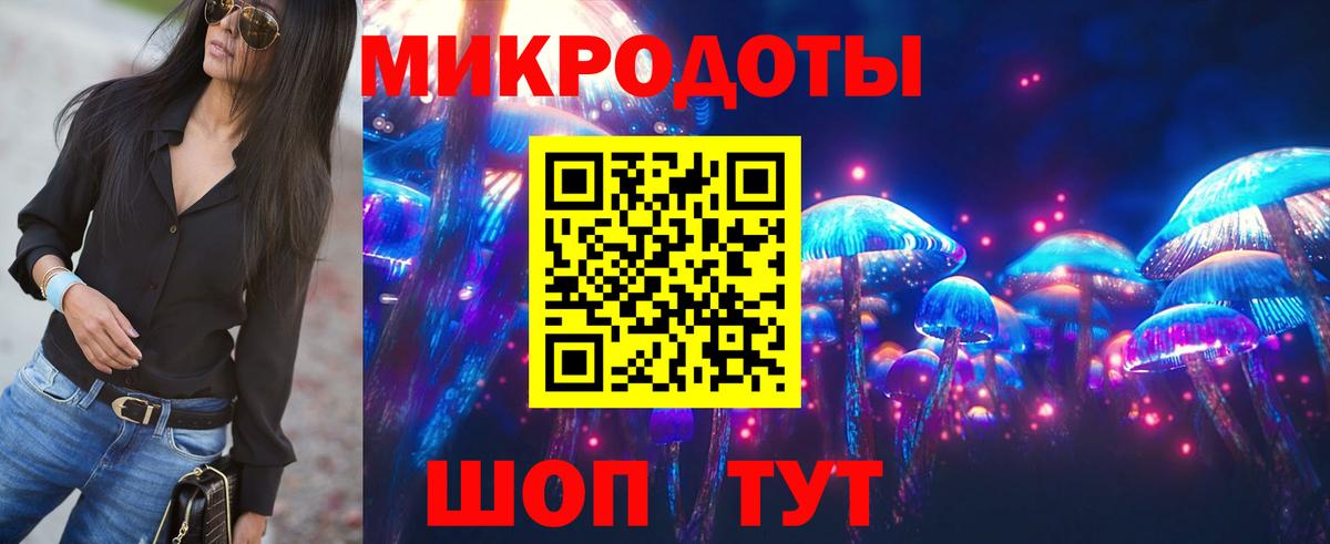 Псилоцибиновые грибы Cubensis Бийск